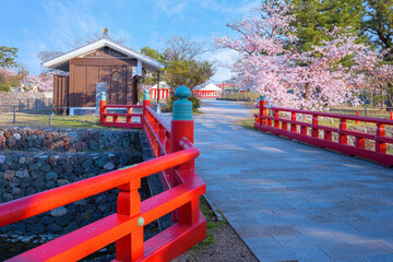 Fototapeta na wymiar Kyoto, Japan - April 1 2023: Prefectural Uji Park with full bloom cherry blossom is the symbol of Uji City with beautiful landscape of the town and provides opportunities for repose and recreation