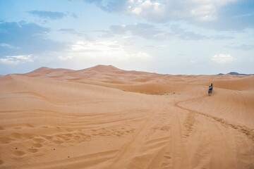 Fototapeta na wymiar Camels walking on sand dunes during sunset in Erg Chebbi desert, near Merzouga, Sahara Desert.