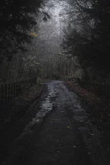 Foto op Plexiglas Winding road in a dark and foggy forest at night, illuminated by a faint light © Wirestock