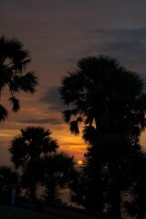 Stunning sunset over a peaceful landscape with silhouetted trees