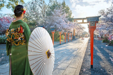 Young Japanese woman in traditional Kimono dress strolls at  Hirano-jinja Shrine during full bloom cherry blossom season - 675054212