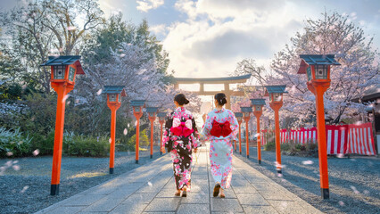Young Japanese woman in traditional Yukata dress strolls at  Hirano-jinja Shrine during full bloom...