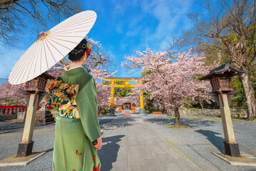 Young Japanese woman in traditional Kimono dress strolls at  Hirano-jinja Shrine during full bloom cherry blossom season - 675054291