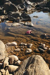 A Boxing Glove in a River