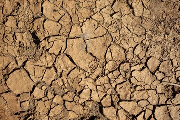 Closeup shot of arid dry cracked mud and soil earth texture background