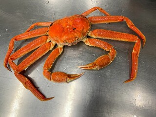 Close-up of a brown crab, its body positioned horizontally on a table, with its claws spread out
