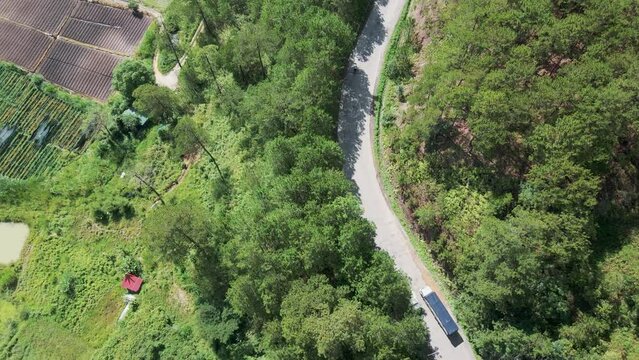 Drone view over cars driving on a road between green trees in wild landscapes