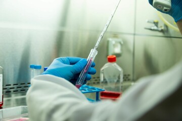 Closeup of hands in blue protective gloves holding a tube for testing in a lab