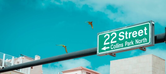 Birds flying over the green sign of 22 Street pointing to the Collins Park North