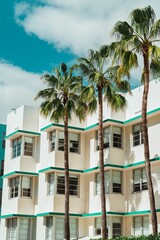 Image of green palm trees in front of a white building with a blue sky in the background