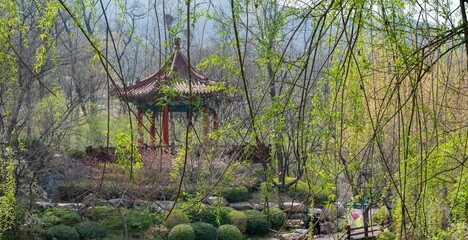 Ancient Asian architectural structure in the middle of a tranquil wooded area near a peaceful pond