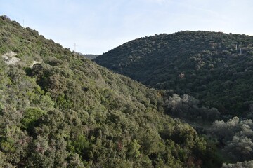 Picturesque mountain landscape covered in forests on a sunny day