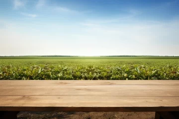 Fotobehang Empty rustic top wood table at gripening soybean field, There is space to place products. © Goojournoon