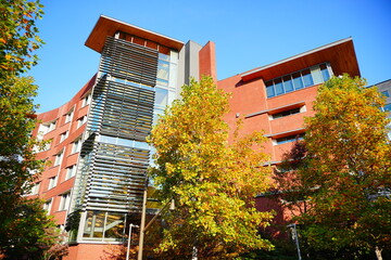 University of Pennsylvania Fall colorful foliage autumn landscape	