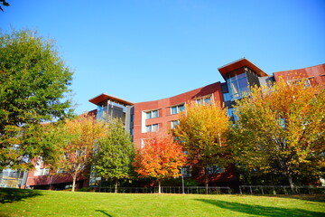 University of Pennsylvania Fall colorful foliage autumn landscape	