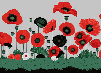 Poppy and anemone flowers field.