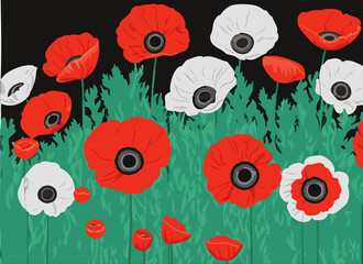 Poppy and anemone flowers field.