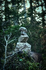Collection of stones stacked atop one another in a lush forest setting.