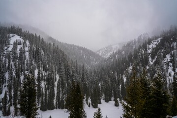 Landscape of hills covered in snow and forest in Jackson Hole, Wyoming
