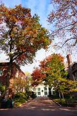 University of Pennsylvania Fall colorful foliage autumn landscape	