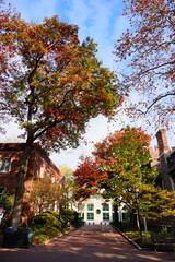 University of Pennsylvania Fall colorful foliage autumn landscape	
