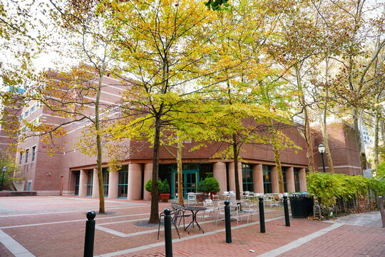 University of Pennsylvania Fall colorful foliage autumn landscape	