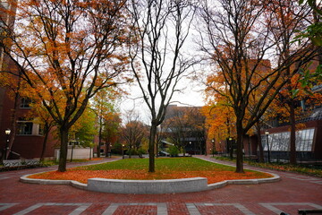University of Pennsylvania Fall colorful foliage autumn landscape
