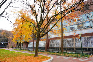 University of Pennsylvania Fall colorful foliage autumn landscape
