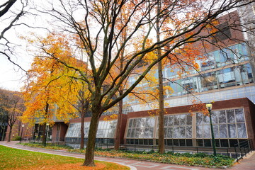 University of Pennsylvania Fall colorful foliage autumn landscape