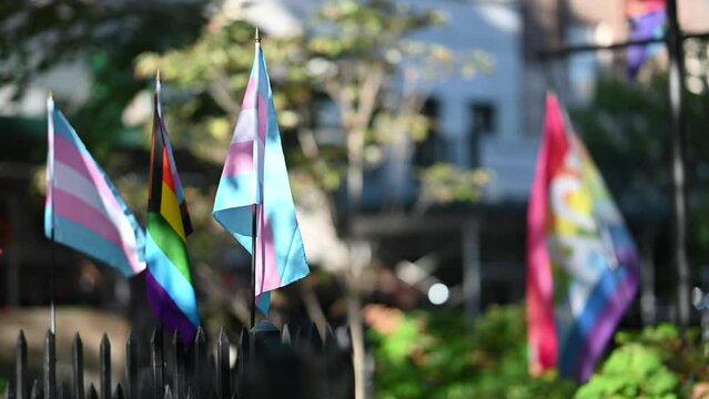 LGBTQ flags in the city