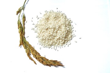 White background with rice grains.