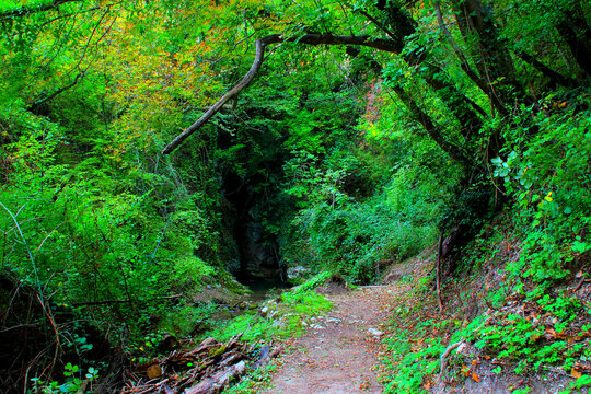 Scenery from Sarnano with Cascata del Pellegrino in the Sibillini Mountains, the barely visible waterfall inside a hut in the rocks, surrounded by vivid greenery, trees, and a path in the foreground