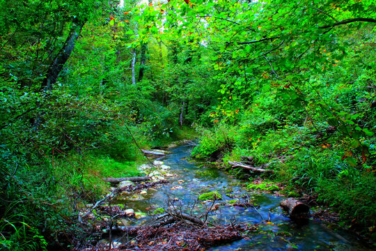 Gorgeous scene in Sarnano near Pozze dell'Acquasanta and the Sibillini Mountains with long-exposure, flowing mirroring transparent waters from the river, rocks, musk, vivid greenery, trees and crowns