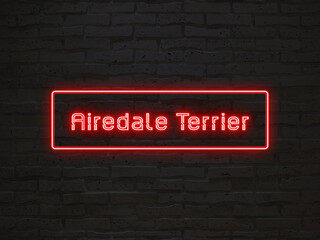 Airedale Terrier のネオン文字