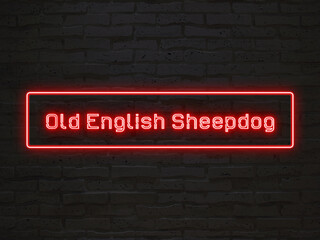 Old English Sheepdog のネオン文字