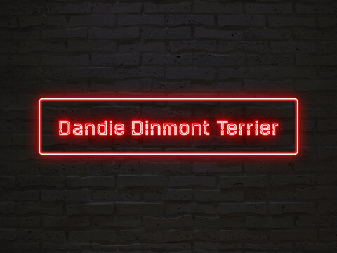 Dandie Dinmont Terrier のネオン文字