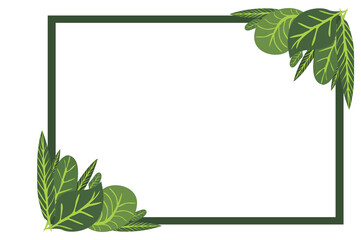 Flora Ornament Border With Design With Transparent Background