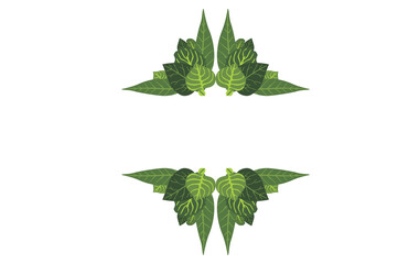 Fototapeta premium Flora Ornament Border With Design With Transparent Background