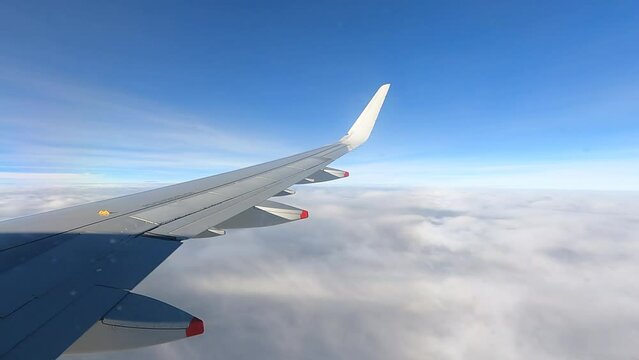 Airplane window view, wing soaring above sea of clouds under clear blue sky