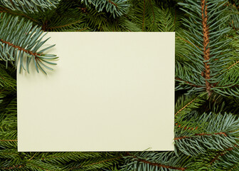 abstract empty template for an christmas invitation, letter, note or greeting card, natural ever green branch next to the paper note, minimalistic design