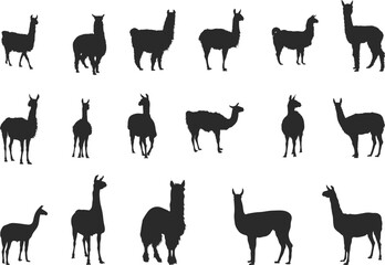 Lama silhouettes, Llama silhouette, Lama svg, Llama svg, Lama animal silhouette