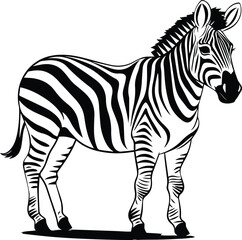 Fototapeta na wymiar Zebra standing Logo Monochrome Design Style