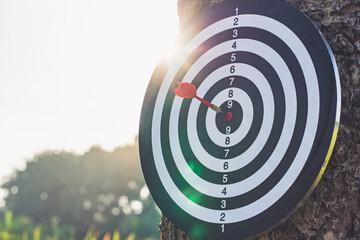 Dart arrow hit the center of target of dartboard on the tree.