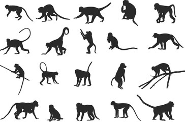 Monkey silhouettes, Monkey silhouette collection, Sitting monkey silhouette, Monkey svg, Monkey clipart, Monkey vector illustration