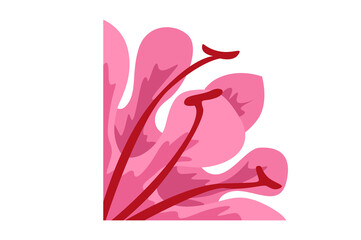 Flower Ornament Border with a design and a transparent background