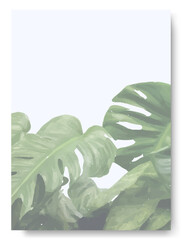 Vintage delicate greeting invitation card template design with green monstera leaves