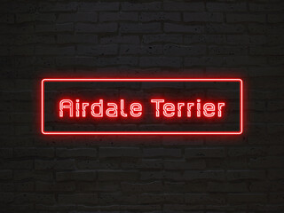 Airdale Terrier のネオン文字