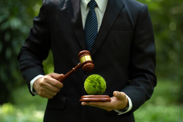 International Law and Environment Law. Honorable Judge striking Gavel on the green world. law for...