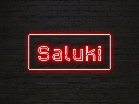 Saluki のネオン文字