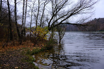 A bare willow tree leaned over the riverbank in autumn.